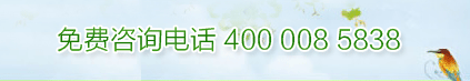M(fi)ԃ(xn)Ԓ(hu)400 008 5838